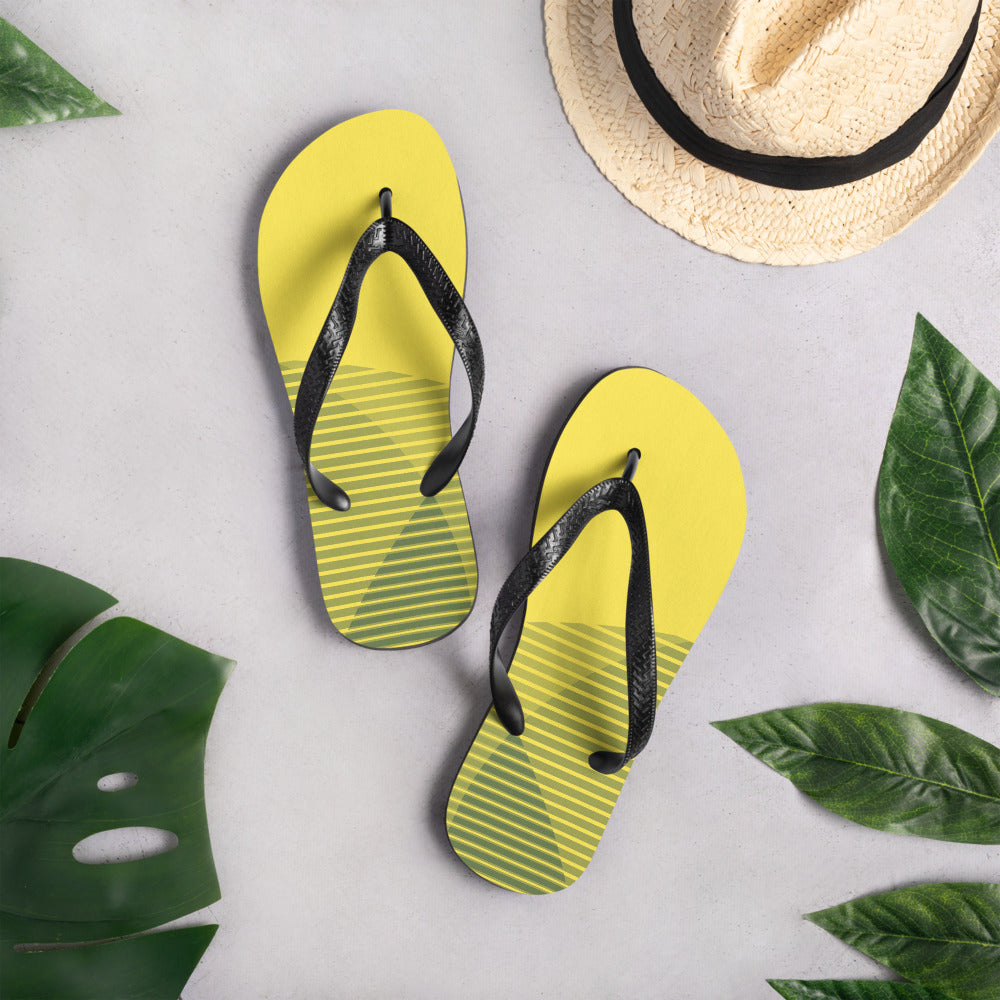 Flip-Flops